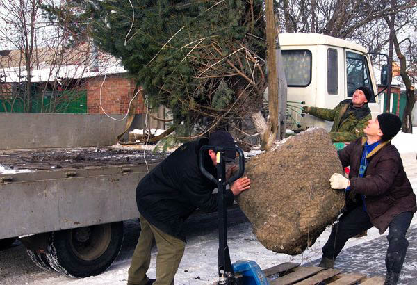 Поступление товара