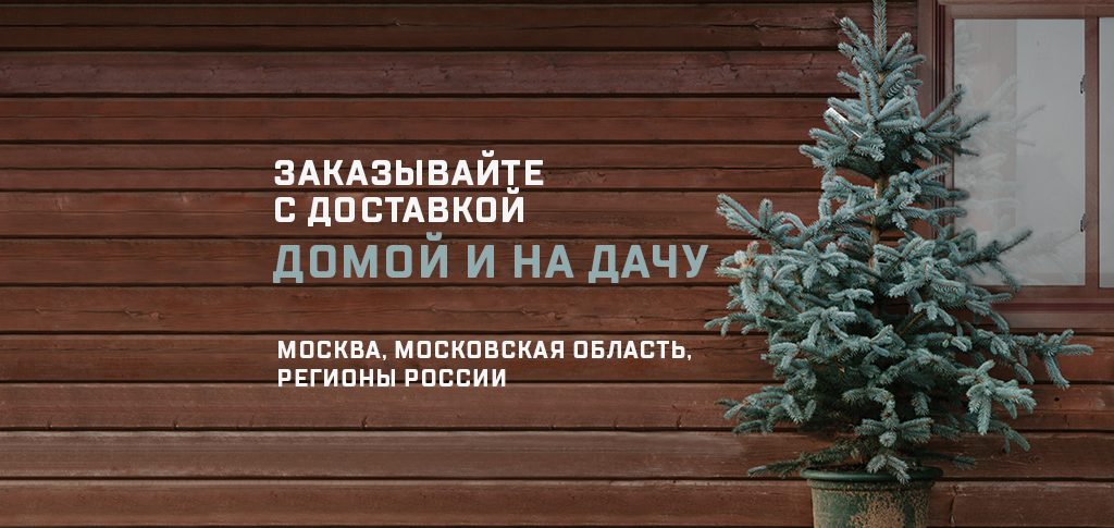 Процветание Магазин Растений Процветание Магазин Растений