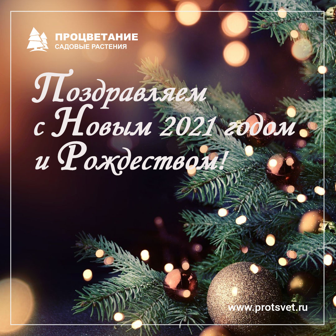 С Новым 2021 годом