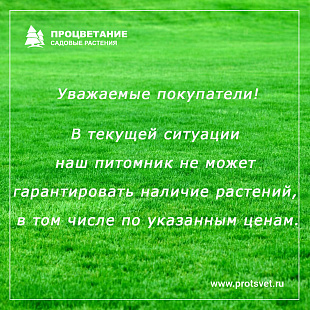 Объявление